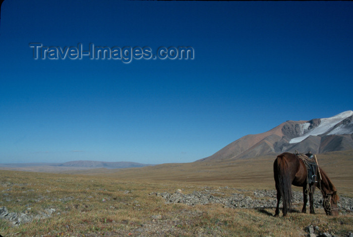 mongolia27: Mongolia - Central Mongolia steppe: grasslands horses - photo by A.Summers - (c) Travel-Images.com - Stock Photography agency - Image Bank
