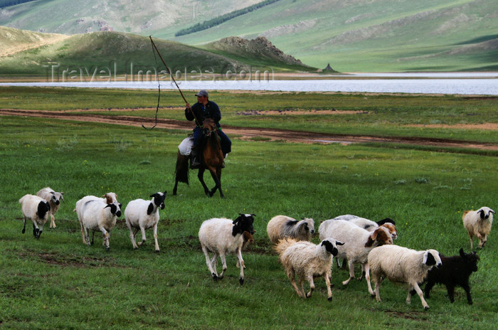 mongolia298: Khorgo-Terkhiin Tsagaan Nuur NP, Mongolia: mounted shepherd leading sheep along the White lake - photo by A.Ferrari - (c) Travel-Images.com - Stock Photography agency - Image Bank