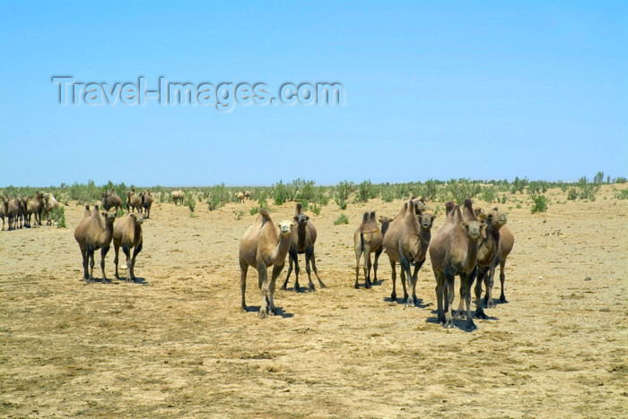 (c) Travel-Images.com - Stock Photography agency - the Global Image Bank