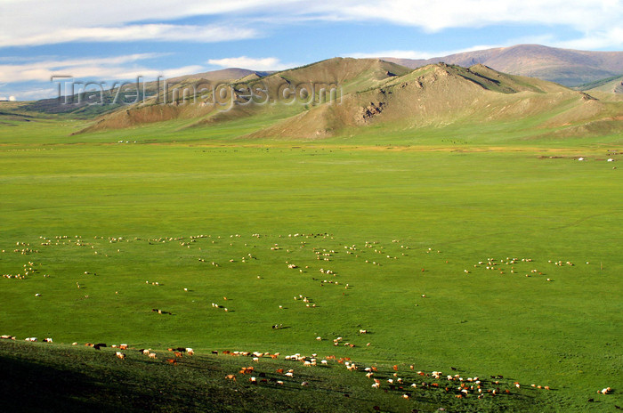 mongolia301: Khorgo-Terkhiin Tsagaan Nuur NP, Arkhangai Province, Mongolia: sheep dot the landscape - plains and the Khangai Mountains - photo by A.Ferrari - (c) Travel-Images.com - Stock Photography agency - Image Bank