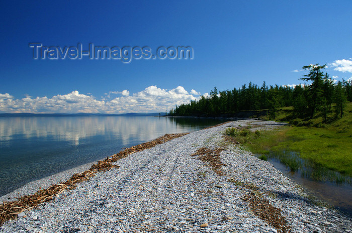 mongolia316: Khövsgöl lake / Nuur, Khövsgöl province, Mongolia: On the shore of Khövsgöl Nuur - beach - photo by A.Ferrari - (c) Travel-Images.com - Stock Photography agency - Image Bank