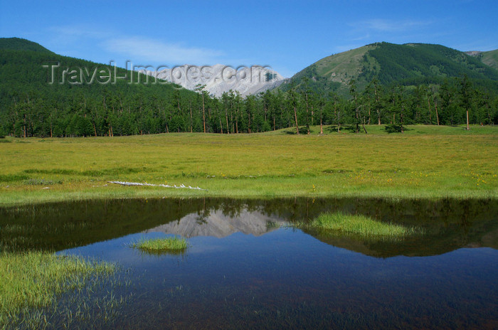 mongolia317: Khövsgöl lake / Nuur, Khövsgöl province, Mongolia:  reflections - photo by A.Ferrari - (c) Travel-Images.com - Stock Photography agency - Image Bank