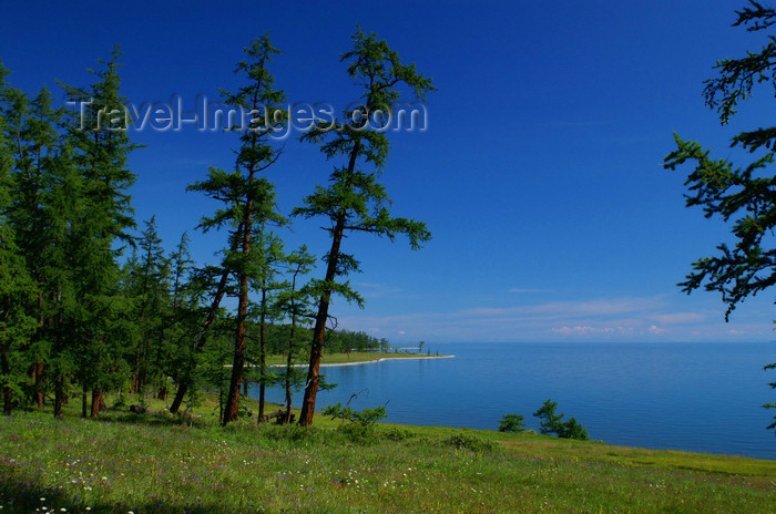 mongolia318: Khövsgöl lake / Nuur, Khövsgöl province, Mongolia:  forest along the shore - photo by A.Ferrari - (c) Travel-Images.com - Stock Photography agency - Image Bank
