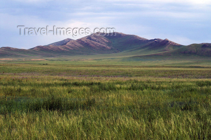 mongolia334: Khustain Nuruu National Park, Tov Tuv province, Mongolia: landscape - photo by A.Ferrari - (c) Travel-Images.com - Stock Photography agency - Image Bank