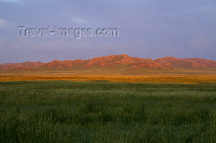 mongolia338: Khustain Nuruu National Park, Tov province, Mongolia: grasslands in the evening light - photo by A.Ferrari - (c) Travel-Images.com - Stock Photography agency - Image Bank