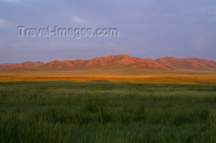 mongolia338: Khustain Nuruu National Park, Tov province, Mongolia: grasslands in the evening light - photo by A.Ferrari - (c) Travel-Images.com - Stock Photography agency - Image Bank