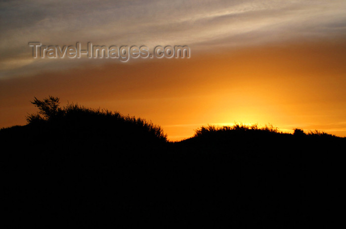 mongolia339: Khustain Nuruu National Park, Tov province, Mongolia: sunset - photo by A.Ferrari - (c) Travel-Images.com - Stock Photography agency - Image Bank