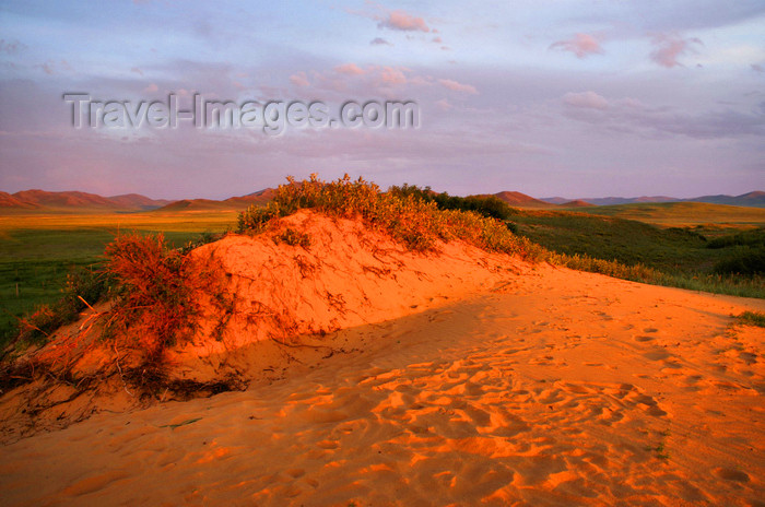 mongolia340: Khustain Nuruu National Park, Tov province, Mongolia: sand dune in the evening light - photo by A.Ferrari - (c) Travel-Images.com - Stock Photography agency - Image Bank