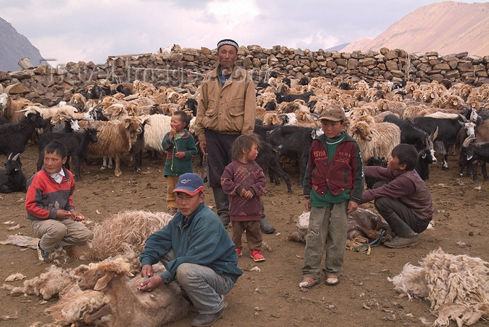 mongolia52: Mongolia - Khentii provincei: family - shearing sheep - photo by A.Summers - (c) Travel-Images.com - Stock Photography agency - Image Bank