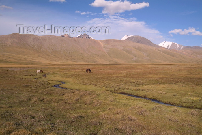 mongolia72: Mongolia - Yamatii valley: pasture - photo by A.Summers - (c) Travel-Images.com - Stock Photography agency - Image Bank