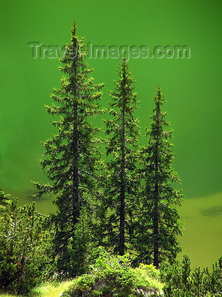 montenegro129: Montenegro - Crna Gora - Durmitor national park: Jablan jezero - trees by the mountain lake - UNESCO World Heritage Site - photo by J.Kaman - (c) Travel-Images.com - Stock Photography agency - Image Bank