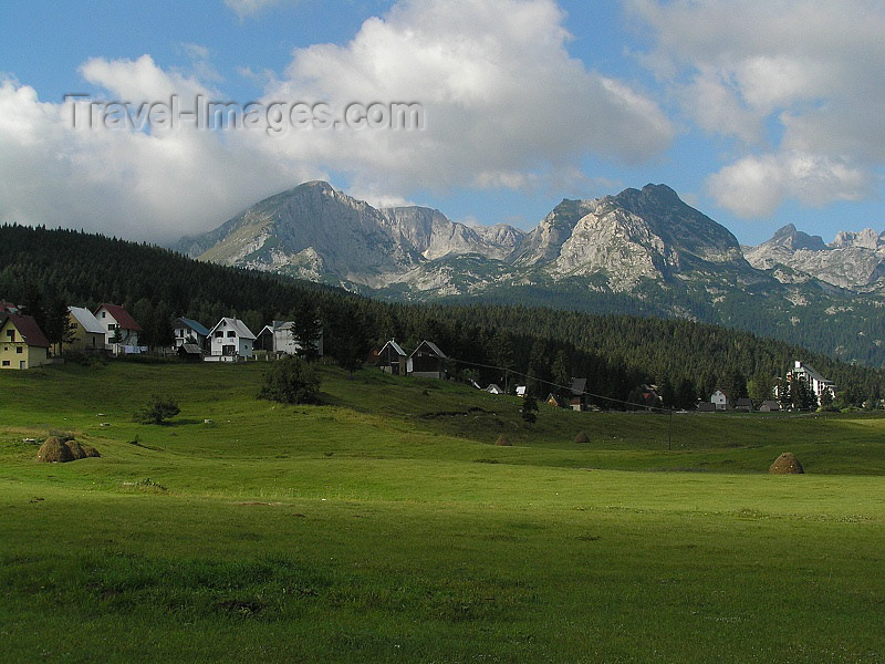 montenegro133: Montenegro - Crna Gora - Durmitor national park: village on the edge of the forest - photo by J.Kaman - (c) Travel-Images.com - Stock Photography agency - Image Bank