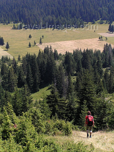 montenegro143: Montenegro - Crna Gora - Durmitor national park: down the slope - photo by J.Kaman - (c) Travel-Images.com - Stock Photography agency - Image Bank