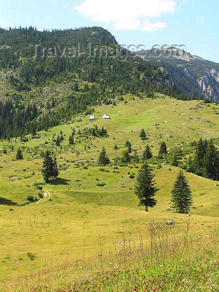 montenegro145: Montenegro - Crna Gora - Durmitor national park: uphill - photo by J.Kaman - (c) Travel-Images.com - Stock Photography agency - Image Bank