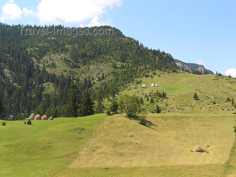 montenegro146: Montenegro - Crna Gora - Durmitor  national park: agricultural intrusion - field - crop - photo by J.Kaman - (c) Travel-Images.com - Stock Photography agency - Image Bank