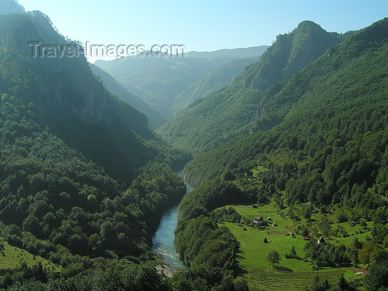 montenegro156: Montenegro - Crna Gora - Durmitor national park: canyon of the Tara river - photo by J.Kaman - (c) Travel-Images.com - Stock Photography agency - Image Bank