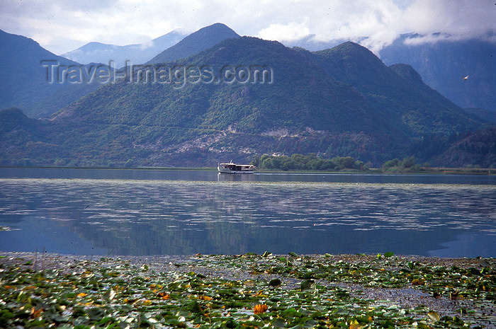 montenegro206: Montenegro - Lake Skadar: tourist boat - photo by D.Forman - (c) Travel-Images.com - Stock Photography agency - Image Bank