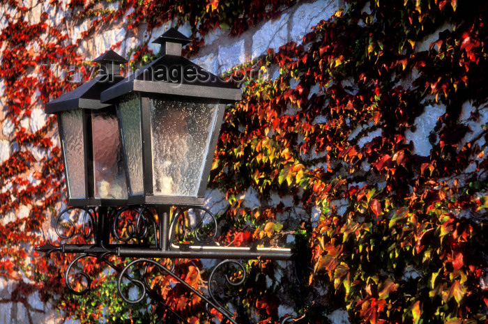 montenegro28: Montenegro - Sveti Stefan: lamps and creeper  - Budva municipality - photo by D.Forman - (c) Travel-Images.com - Stock Photography agency - Image Bank