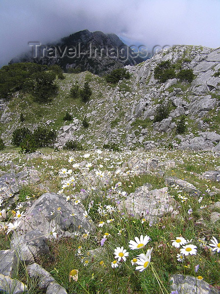 montenegro32: Montenegro - Crna Gora  - Mount Orjen - Natural and Culturo-Historical Region of Kotor - jewel of the hinterland of the Bay of Kotor - UNESCO World Heritage site - photo by J.Kaman - (c) Travel-Images.com - Stock Photography agency - Image Bank