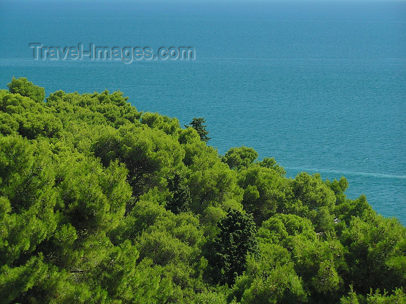 montenegro76: Montenegro - Crna Gora  - Ulcinj riviera: Mediterranean colours - vegetation by the Adriatic - photo by J.Kaman - (c) Travel-Images.com - Stock Photography agency - Image Bank