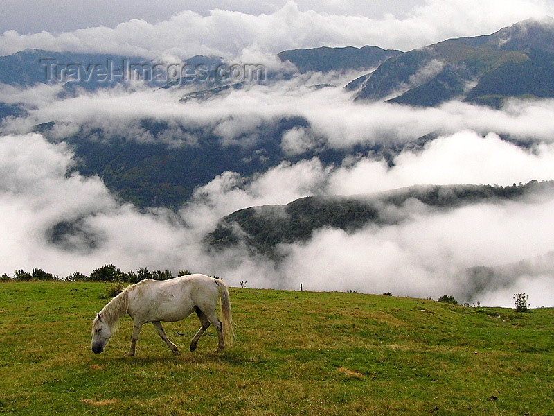 montenegro89: Montenegro - Crna Gora - Komovi mountains: horse from Katun Štavna and fog in the valley - photo by J.Kaman - (c) Travel-Images.com - Stock Photography agency - Image Bank