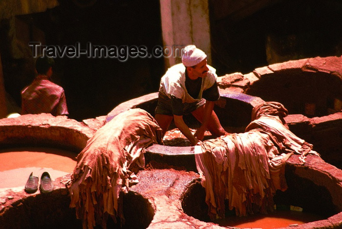 moroc108: Morocco / Maroc - Fès: dying leather - photo by F.Rigaud - (c) Travel-Images.com - Stock Photography agency - Image Bank