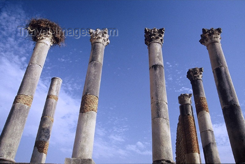 moroc11: Morocco / Maroc -Volubilis: the Capitol - Roman temple dedicated to Jupiter, Juno and Minerva - built in 219 AD, partly demolished by Sultan Moulay Ismail - Unesco world heritage site - photo by M.Zaraska - (c) Travel-Images.com - Stock Photography agency - Image Bank