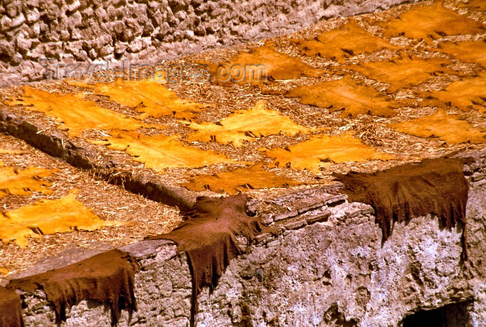 moroc110: Morocco / Maroc - Fez: drying the skins - tannery - tanned leather - photo by F.Rigaud - (c) Travel-Images.com - Stock Photography agency - Image Bank