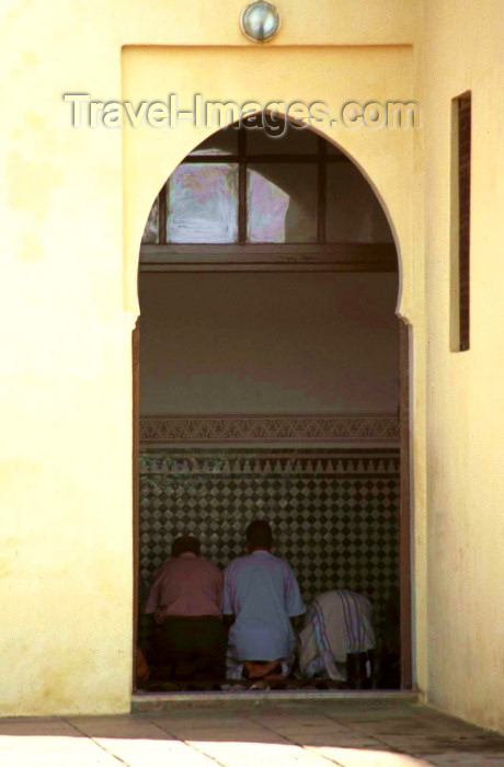 moroc132: Morocco / Maroc - Rabat: men praying - Islam - photo by F.Rigaud - (c) Travel-Images.com - Stock Photography agency - Image Bank