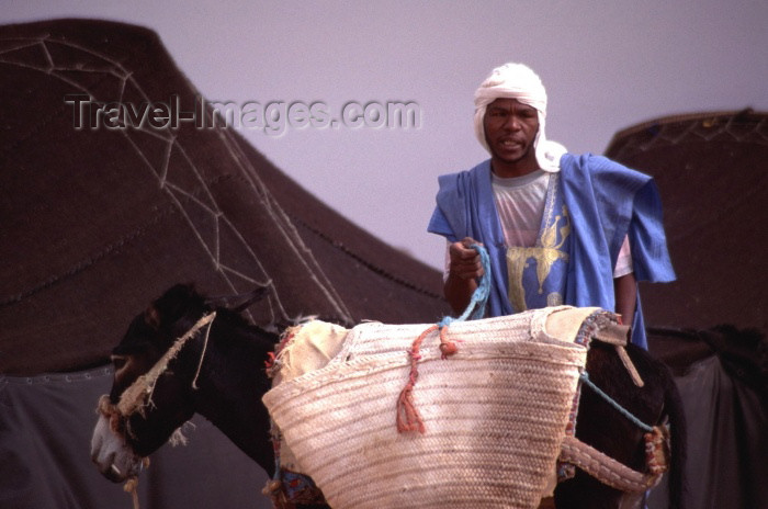 moroc138: Morocco / Maroc - Tinfou: tuareg with donkey - photo by F.Rigaud - (c) Travel-Images.com - Stock Photography agency - Image Bank