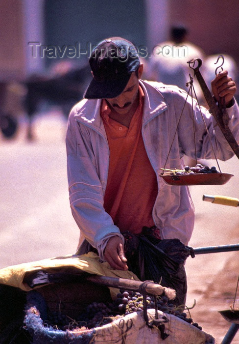 moroc140: Morocco / Maroc - Tinerhir: selling grapes - photo by F.Rigaud - (c) Travel-Images.com - Stock Photography agency - Image Bank