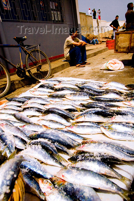 moroc179: Morocco / Maroc - Mogador / Essaouira: sardines for sale - fishmonger on the street - photo by M.Ricci - (c) Travel-Images.com - Stock Photography agency - Image Bank