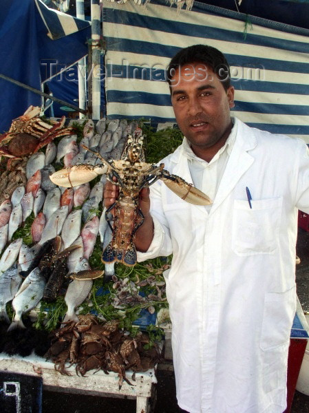 moroc180: Morocco / Maroc - Mogador / Essaouira: meet the fishmonger and his friend - photo by J.Kaman - (c) Travel-Images.com - Stock Photography agency - Image Bank
