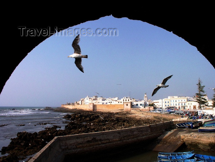 moroc183: Morocco / Maroc - Mogador / Essaouira: rocky coast - photo by J.Kaman - (c) Travel-Images.com - Stock Photography agency - Image Bank