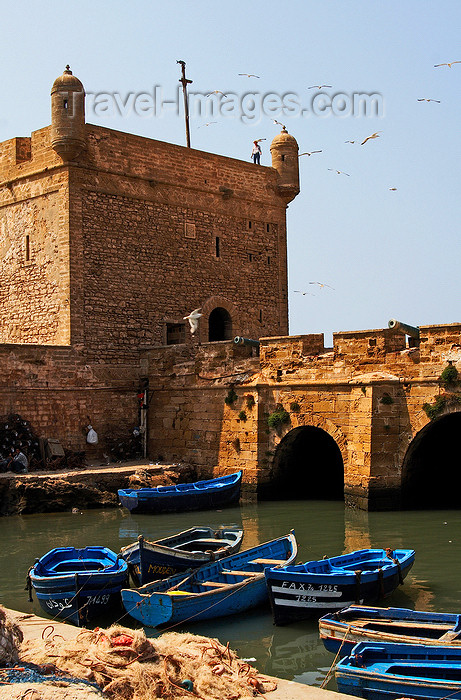 moroc185: Morocco / Maroc - Mogador / Essaouira: fort Skala - citadel by the harbour - UNESCO World Heritage Site - photo by M.Ricci - (c) Travel-Images.com - Stock Photography agency - Image Bank