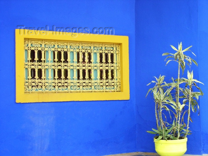 moroc199: Morocco / Maroc - Marrakesh: Jardin Majorelle - deep colours - Av. Yacoub el Mansour - photo by J.Kaman - (c) Travel-Images.com - Stock Photography agency - Image Bank