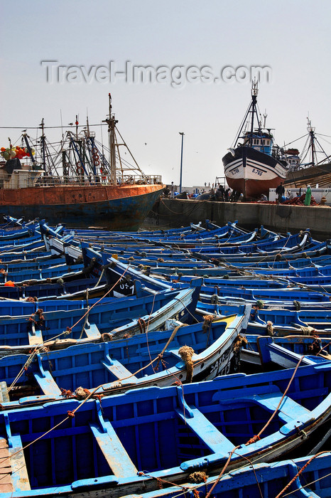 moroc21: Morocco / Maroc - Mogador / Essaouira: huge fleet of blue fishing boats - photo by  M.Ricci - (c) Travel-Images.com - Stock Photography agency - Image Bank