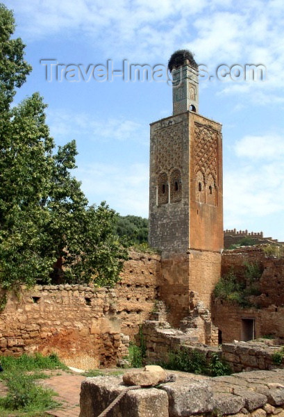 moroc250: Morocco / Maroc - Rabat: Chellah necropolis - minaret of the Merenid mosque and ruins of Sala Colonia - photo by J.Kaman - (c) Travel-Images.com - Stock Photography agency - Image Bank