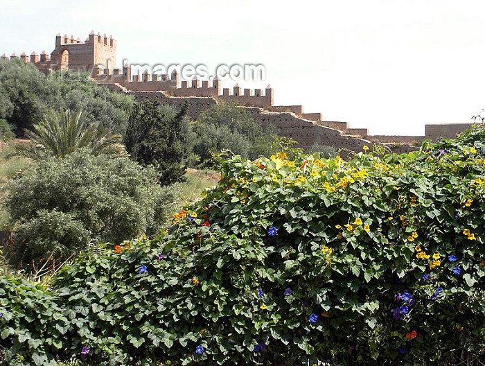 moroc251: Morocco / Maroc - Rabat: Chella necropolis - Almohad ramparts - photo by J.Kaman - (c) Travel-Images.com - Stock Photography agency - Image Bank