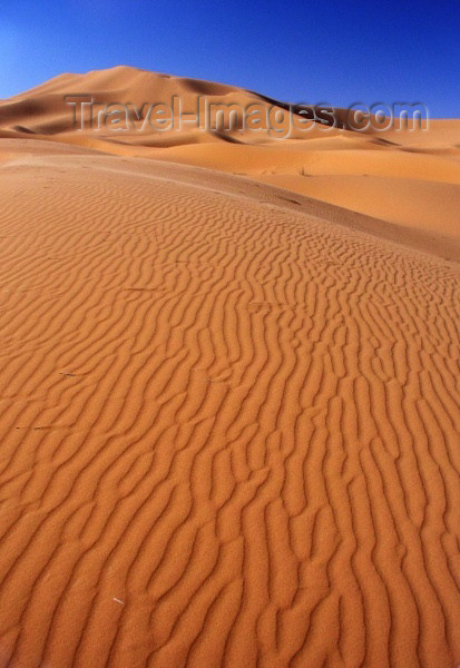 moroc267: Morocco / Maroc - Erg Chebbi: dunes of the Sahara desert II - photo by J.Kaman - (c) Travel-Images.com - Stock Photography agency - Image Bank