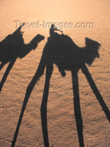 moroc268: Morocco / Maroc - Erg Chebbi: shadow of the caravan II - desert - photo by J.Kaman - (c) Travel-Images.com - Stock Photography agency - Image Bank