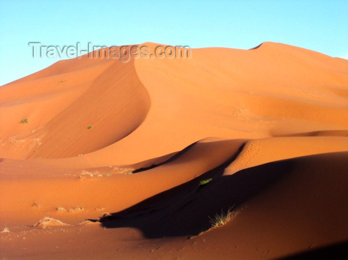 moroc269: Morocco / Maroc - Erg Chebbi: dunes of the Sahara desert III - photo by J.Kaman - (c) Travel-Images.com - Stock Photography agency - Image Bank