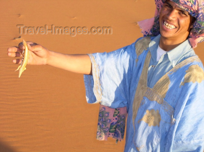 moroc271: Morocco / Maroc - Erg Chebbi: blind lizard - desert - photo by J.Kaman - (c) Travel-Images.com - Stock Photography agency - Image Bank