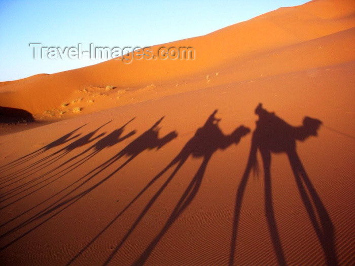 moroc272: Africa - Morocco / Maroc - Erg Chebbi: shadow of the caravan III - desert - photo by J.Kaman - (c) Travel-Images.com - Stock Photography agency - Image Bank
