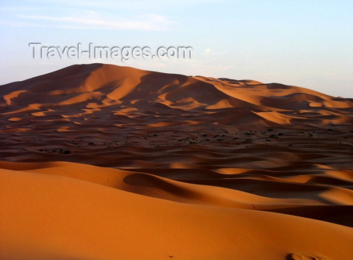 moroc276: Morocco / Maroc - Erg Chebbi: dunes of the Sahara desert IV - photo by J.Kaman - (c) Travel-Images.com - Stock Photography agency - Image Bank