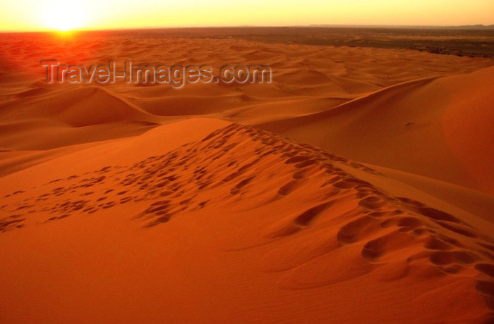 moroc279: Morocco / Maroc - Erg Chebbi: dunes of the Sahara desert - sunset - photo by J.Kaman - (c) Travel-Images.com - Stock Photography agency - Image Bank