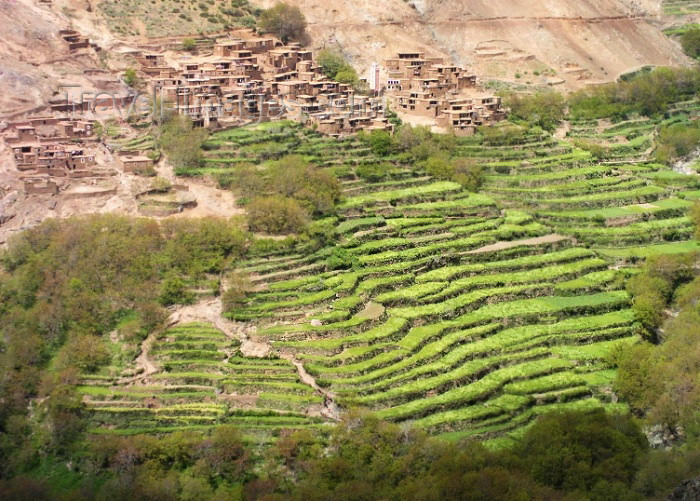 moroc298: Morocco / Maroc - Amskere village (Marrakesh Tensift-Al Haouz): terraced fields - agriculture in the Imenane valley - photo by J.Kaman - (c) Travel-Images.com - Stock Photography agency - Image Bank