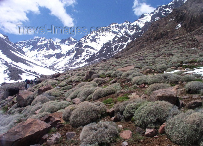 moroc304: Morocco / Maroc - Atlas mountains: landscape - photo by J.Kaman - (c) Travel-Images.com - Stock Photography agency - Image Bank