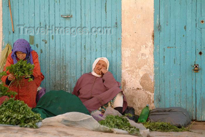 moroc319: Morocco / Maroc - Chefchaouen / Chef / Chaouen: mint sellers, cannabis or kif sold elsewhere - herbs - Marijuana Country - photo by J.Banks - (c) Travel-Images.com - Stock Photography agency - Image Bank