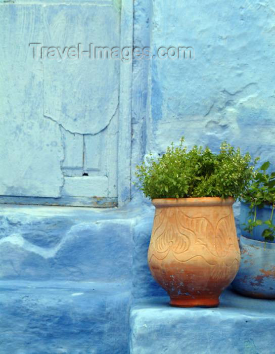 moroc322: Morocco / Maroc - Chechaouen: decoration - vase at doorstep in the Medina - photo by J.Banks - (c) Travel-Images.com - Stock Photography agency - Image Bank